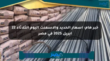 خبر هام: أسعار الحديد والأسمنت اليوم الثلاثاء 22 أبريل 2025 في مصر
